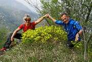 32 Ginestra profumatissima